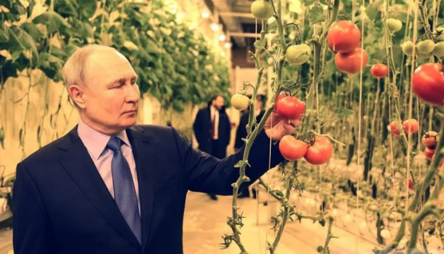 Путин, Чукотка